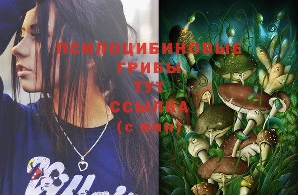 меф Белокуриха