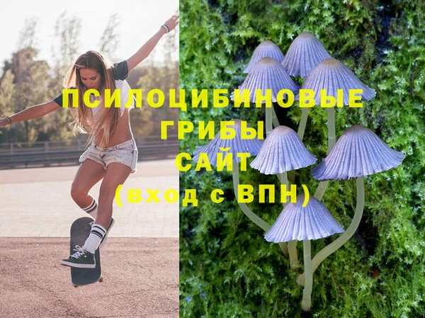 не бодяженный Россошь