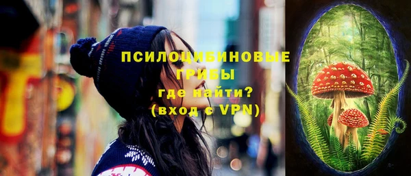 меф Белокуриха
