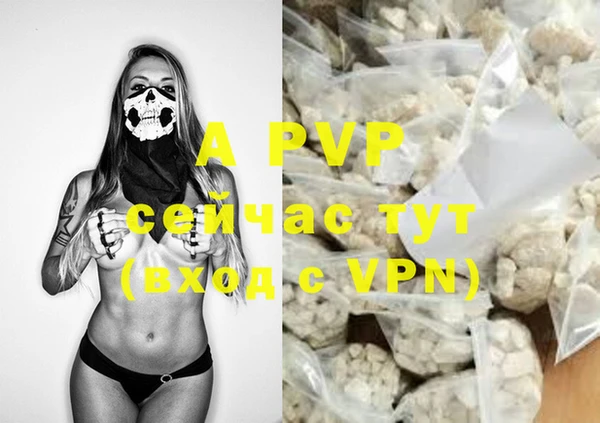 ALPHA PVP Беломорск